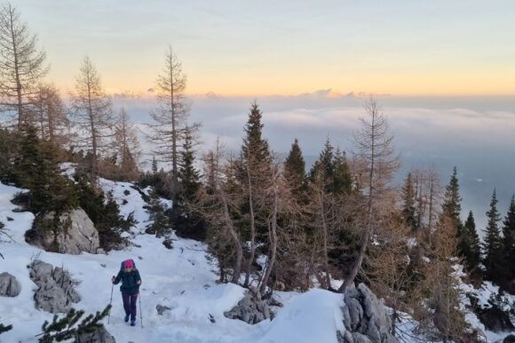 Pogled prema Kamniško Savinjskim Alpama