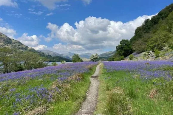 skotska planinarenje loch lomond