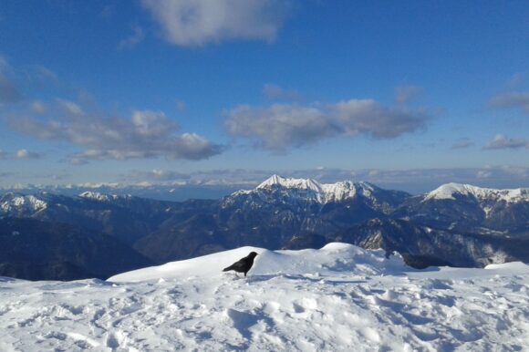 Spodnje Bohinjske gore