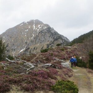Uspon na Storžić (2132 m) – vođena planinarska tura | Slovenija