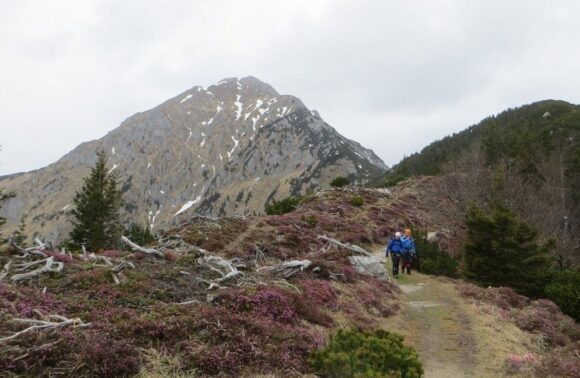 Uspon na Storžić (2132 m) – vođena planinarska tura | Slovenija